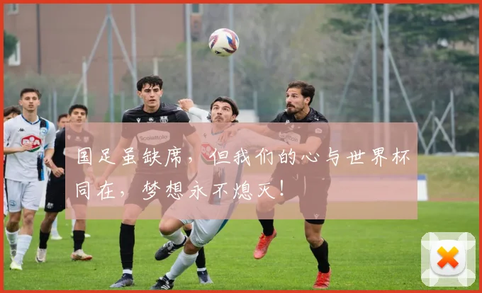 国足虽缺席,但我们的心与世界杯同在,梦想永不熄灭!