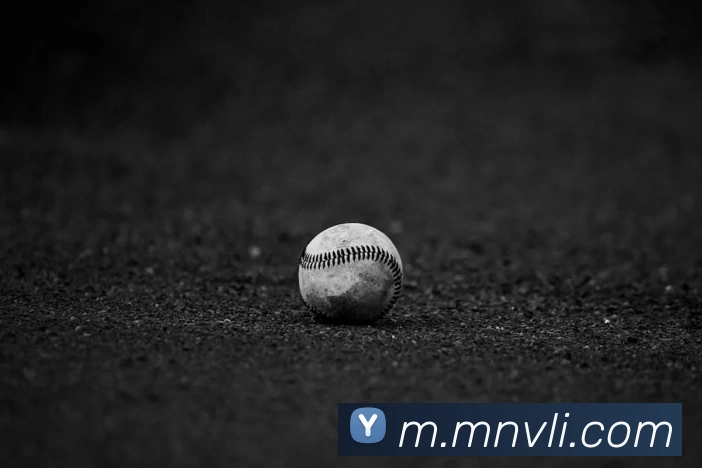 体育直播服务